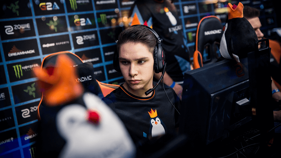 kinguin michu