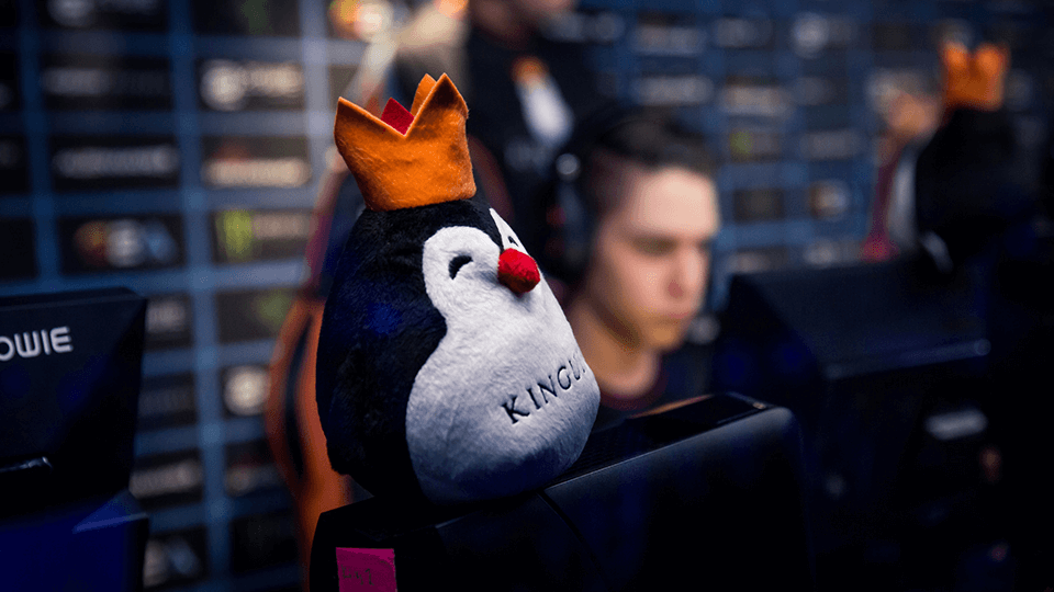 Team Kinguin