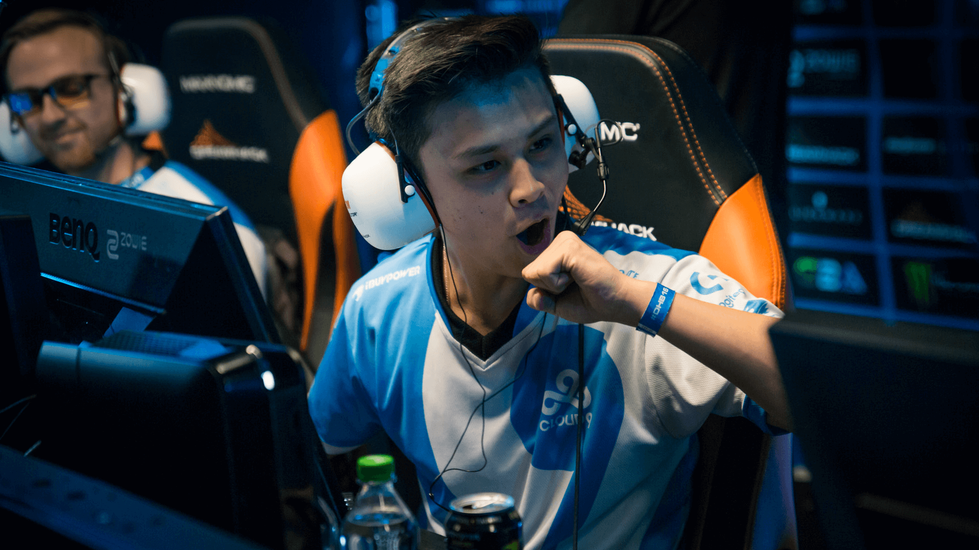 stewie