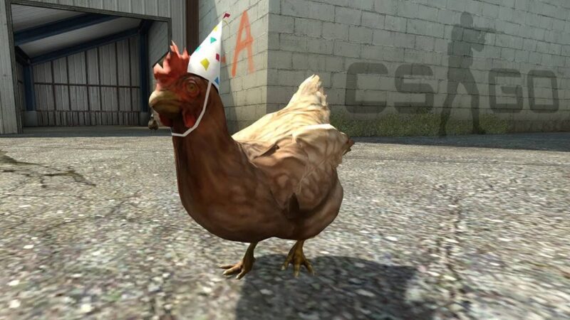 chicken-csgo