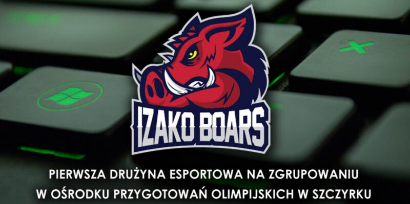 dziki