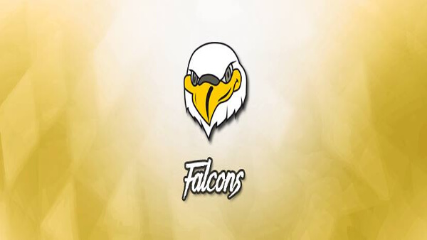 falcons_a8