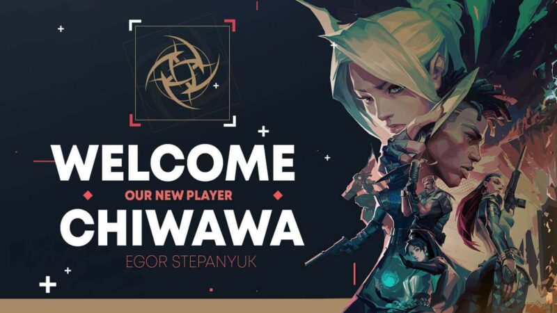 chiwawa2