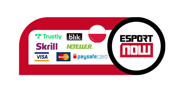 Metody płatności Esport Now