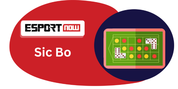 Online Casino Bingo