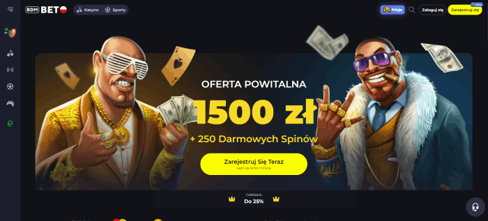 BDM Bet Najlepsze doświadczenia z Trustly